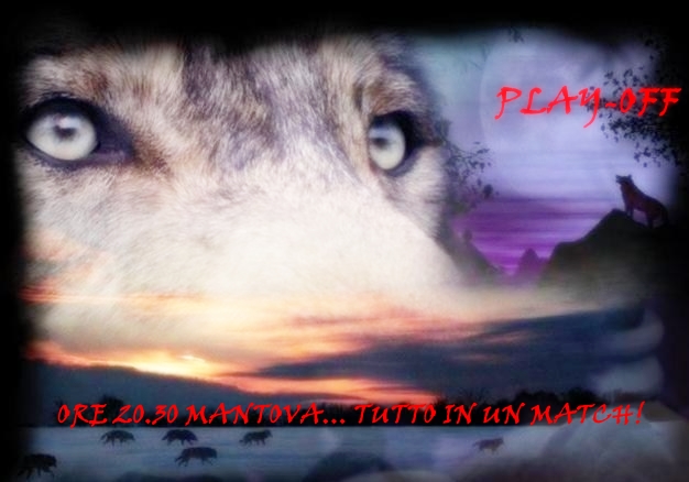 lupo_luna_back01