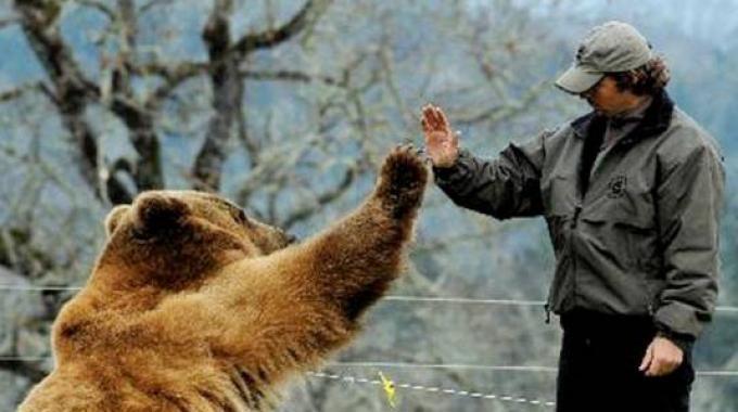 1197952-8d84be9aa0_1988946_med